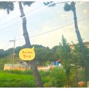 무지개 참숯가든 | 인천남동구 돼지갈비, 소갈비전문점 #삼송가든