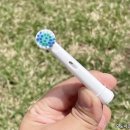 토비메모리 이미지