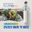 월드머쉬룸 영농조합법인 | 제주 안덕면 숨은 맛집 ‘한라산 아래 첫 마을’, 줄 서는 이유
