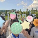 예스여행 이미지
