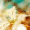 커피보라 - 고양시 덕양구 | 커피보라