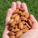 비타민도매몰 이미지