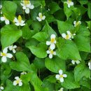 만성농장 이미지