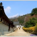 운보미술관 이미지