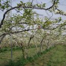 서림농원 이미지