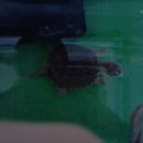 하계역(7호선) 이미지