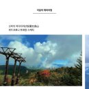 위드트래블주