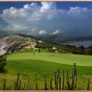 태평양 금호 이미지