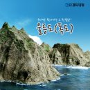 [울릉도] 울릉도 1박2일, 2박3일 (대아리조트 숙박,독도관광) 275,000원~ 이미지