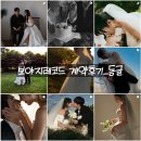 부산 웨딩스냅 계약 후기 “보야지레코드” 내돈내산