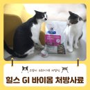 씨네트코리아 | 고양이 변비에 힐스GI바이옴 처방사료로 관리해요(#예쁜똥챌린지 시작)