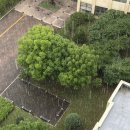 (주)오소코 | [공릉/서울과기대] 공트럴파크 &#39;아소코&#39; 후기 (돈카츠, 덮밥, 냉모밀)