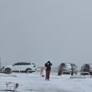 아산곡교천야영장 이미지