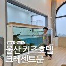 호텔문 | 울산 북구 크레센트문 키즈호텔 202호 비너스 솔직후기