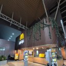 코타강쥐 이미지