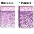 제노바이오 이미지