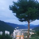 태성목장2 이미지