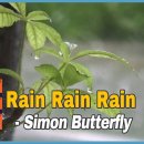 Rain Rain Rain / Simon Butterfly 이미지