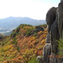 남산 이미지