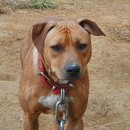 양지영농장 이미지