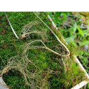 (주)한유유통 이미지