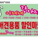 이레네 강아지 이미지