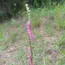 분수3리 이미지