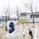 너른마당축산