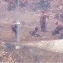 북괴목함지뢰 가능성 90%"…DMZ 지뢰 추정 폭발에 軍 촉각 이미지