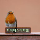 지이에스 | 강남 대치동 대치 영어학원 어학원 지이에스어학원 지이에스어학원, 맞춤 지도 제공