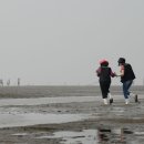 하전농장 이미지