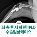 미사동물병원 이미지