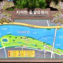 솔밭개울 이미지