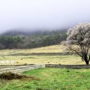 다정목장 이미지