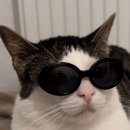 🕵️‍♀️코드명: Project O , 우먼나이스(?) 신제품 비밀 요원 모집 이미지