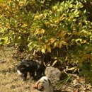 두식농원 이미지