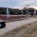 느티나무길 이미지