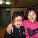 봉림흑염소 이미지