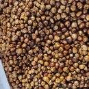 옥수수차 구수합니다 이미지