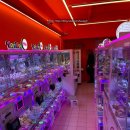 인형뽑기샵 이미지