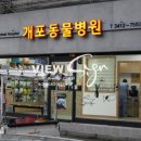 반디 동물병원 이미지