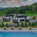 라비드 포레 이미지