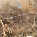 앤드류(ANDREW) 이미지