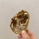 밀토니아(miltonia) | [망원/빵집] 밀토니아 : 애플파이, 앙버터, 무화과 크림치즈, 할라피뇨 치아바타 후기