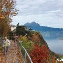 현대온천레지던스 이미지