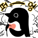 구*송 이미지