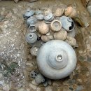 초당동-2 이미지