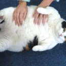 라온동물병원 이미지