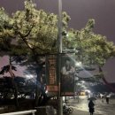 2024 새봄콘서트 | [ja,daumn] 2025.12.13 로이킴상우씨 단독 콘서트 솔직 후기 ✨ | 티켓링크 라이브 아레나 시야