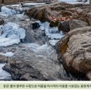 용현자연휴양림 이미지